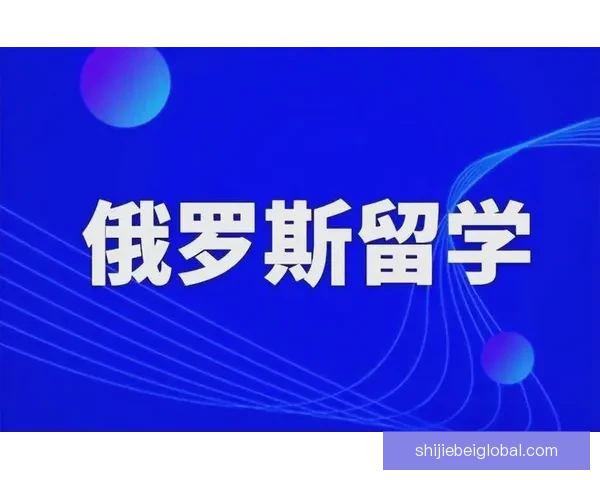 世界杯竞猜游戏全新玩法规则详解与参与攻略全面指南